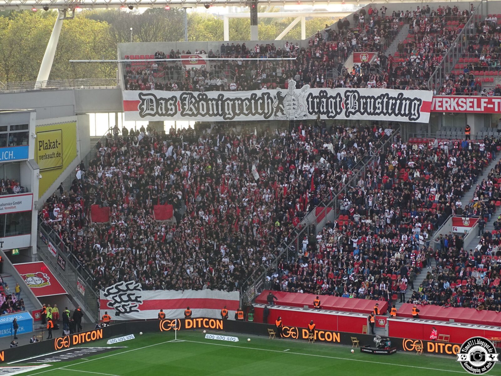 Bayer 04 Leverkusen – VfB Stuttgart 2-0 (2)