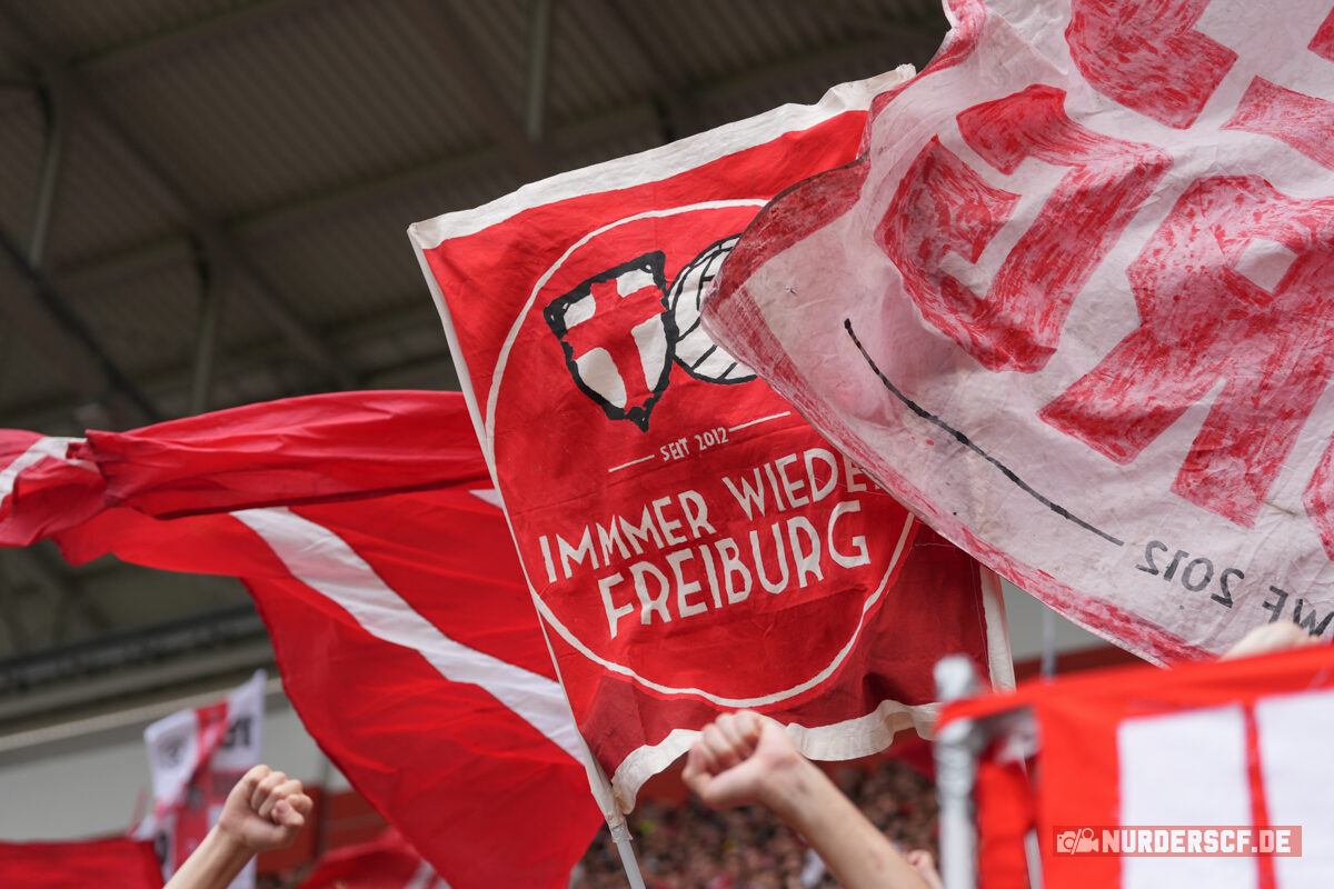 SC Freiburg – Werder Bremen 1-0 (28)