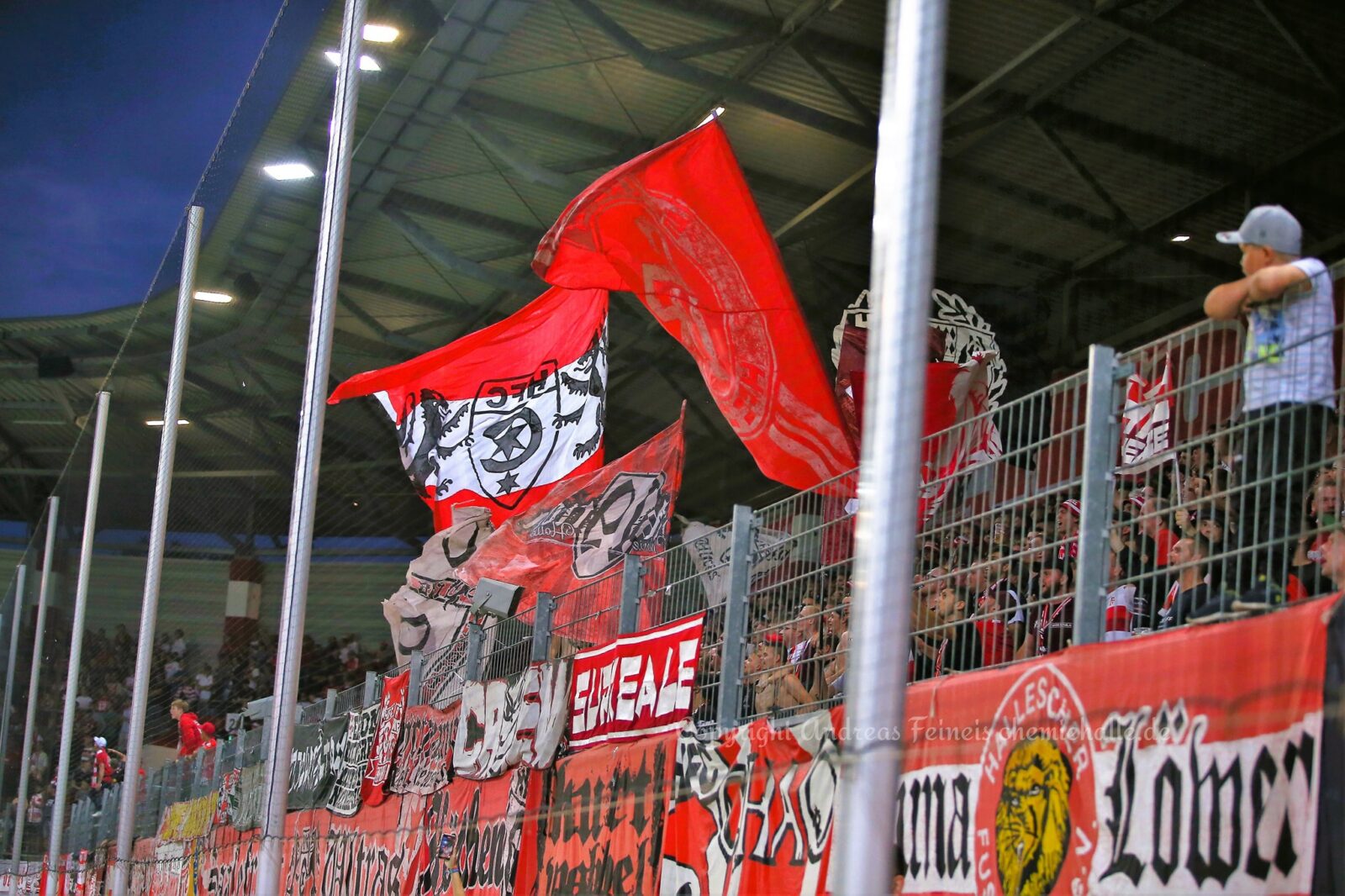 Hallescher FC – SV Meppen 1-1 (5)