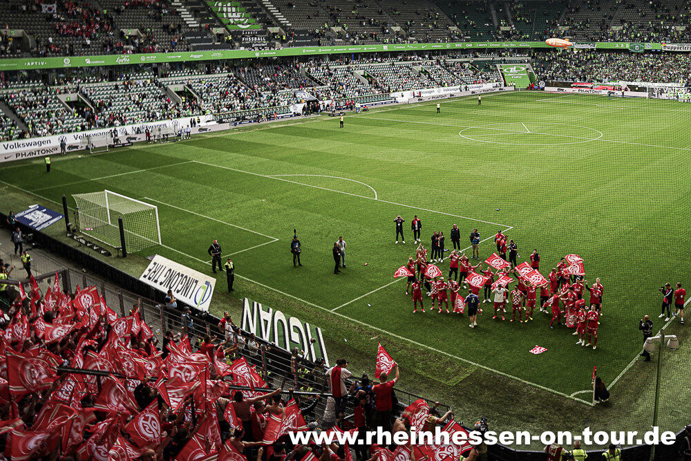VfL Wolfsburg – 1. FSV Mainz 05 1-3 (33)