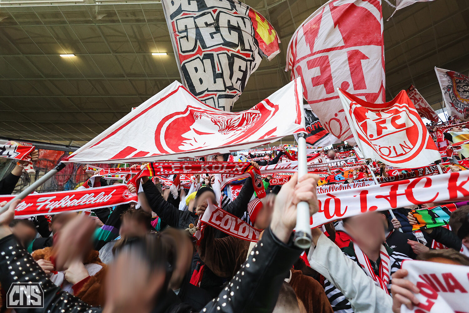 TSG Hoffenheim – 1. FC Köln 1-1 (31)