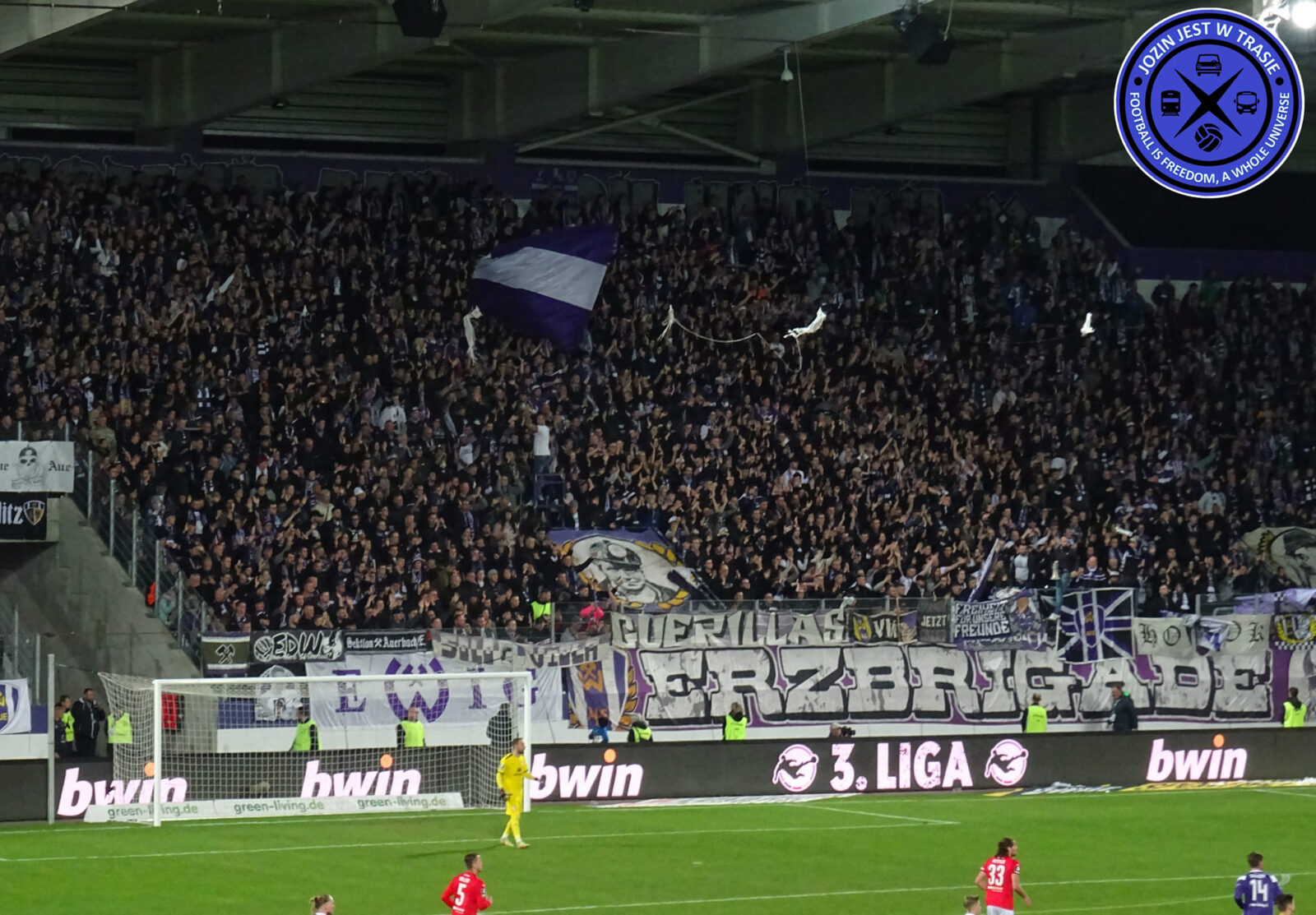 FC Erzgebirge Aue – Hallescher FC 1-1 (11)