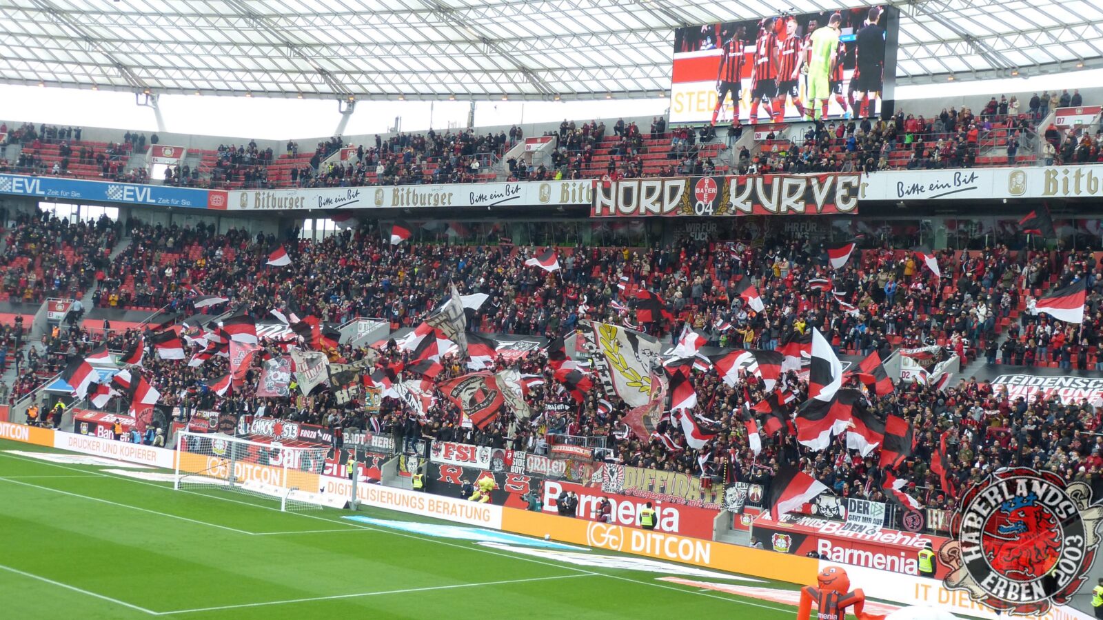 Bayer 04 Leverkusen – Hertha BSC 2-1 (9)