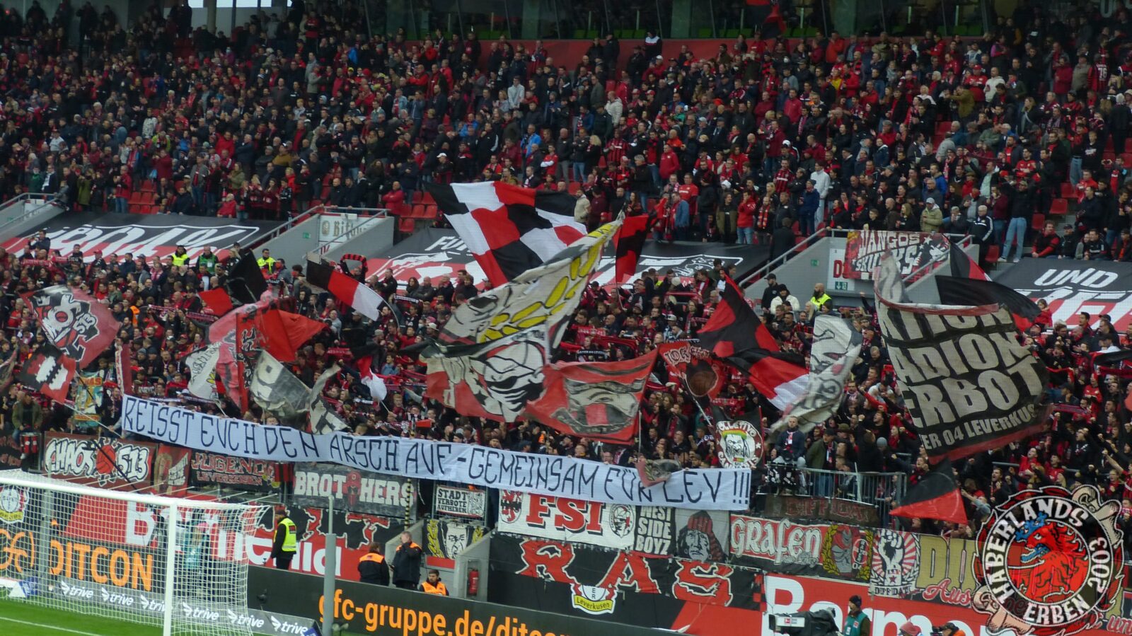Bayer 04 Leverkusen – 1. FC Union Berlin 5-0 (10)