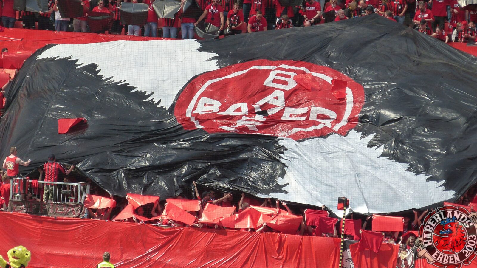 Bayer 04 Leverkusen – SC Freiburg 2-1 (32)