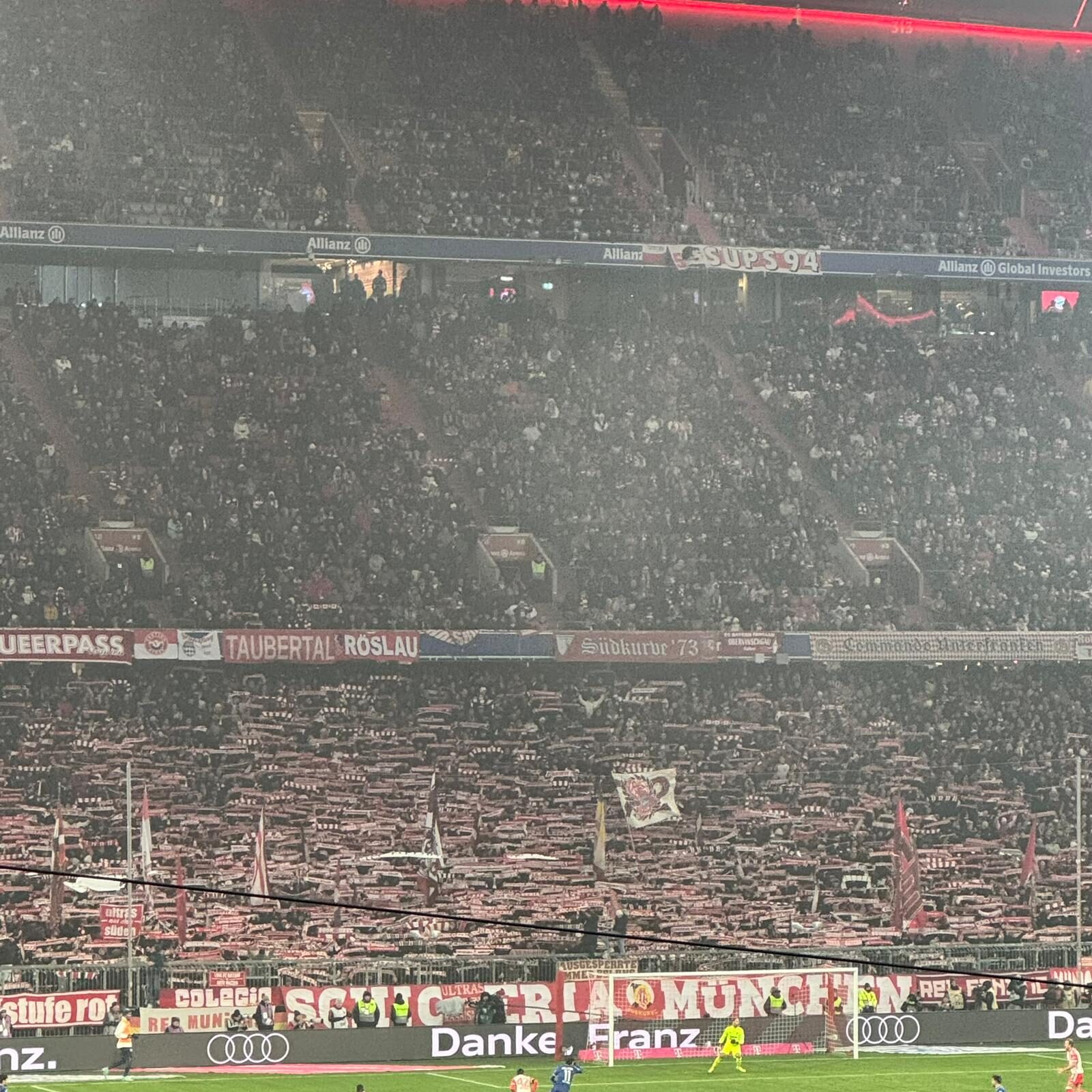 FC Bayern München – TSG Hoffenheim 3-0 (5)