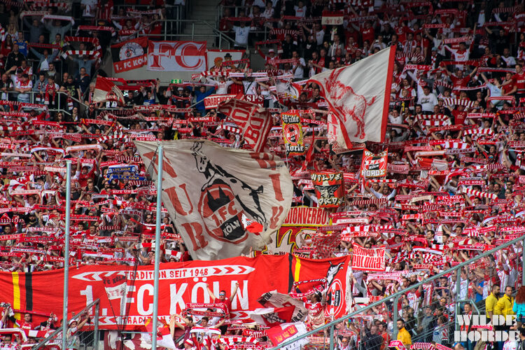 TSG Hoffenheim vs 1. FC Köln (1-1) (17)