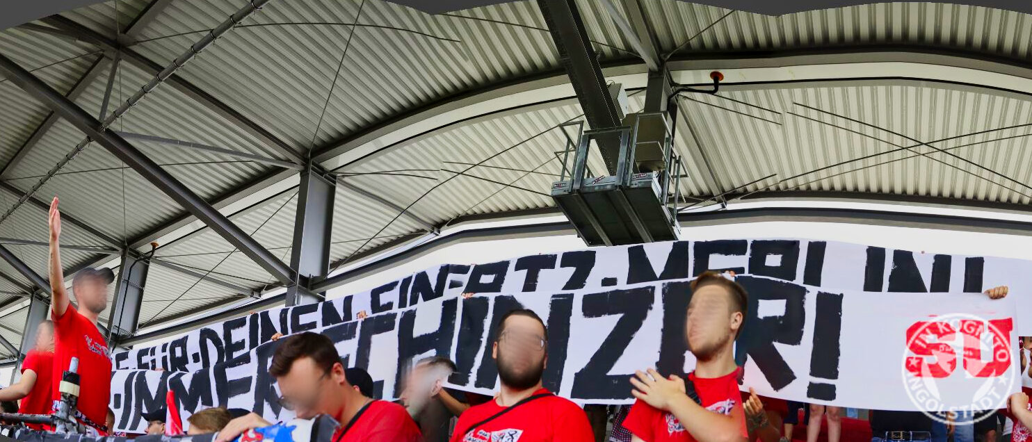 FC Ingolstadt – SV Wehen 2-3 (6)