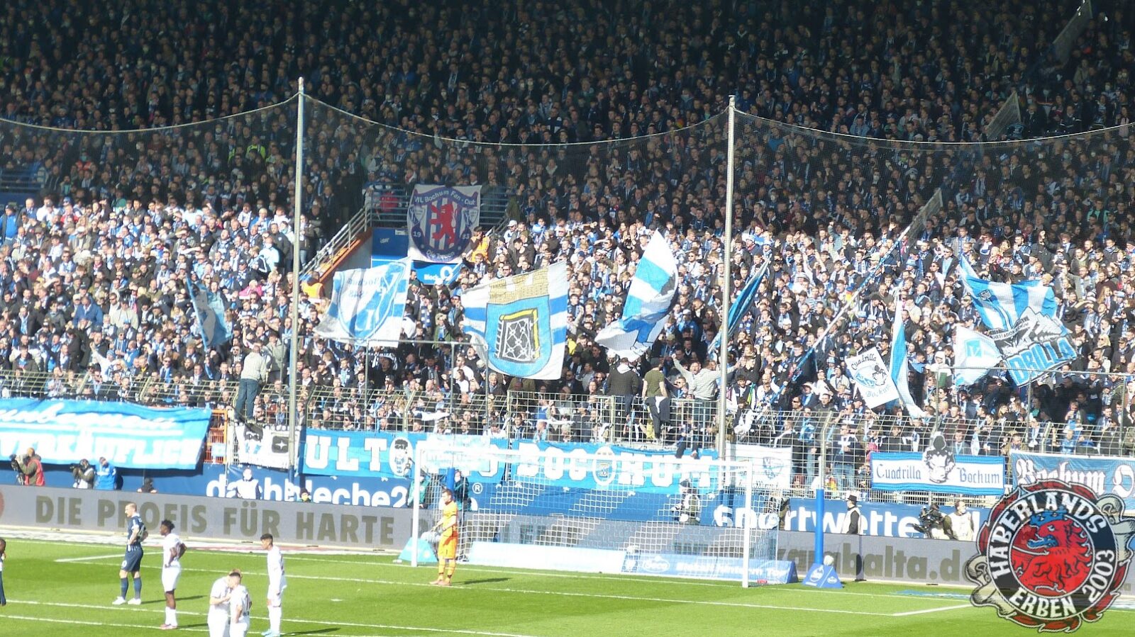 VfL Bochum – Bayer 04 Leverkusen 0-0 (11)