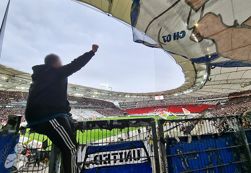 VfB Stuttgart – TSG Hoffenheim 2-3 (8)