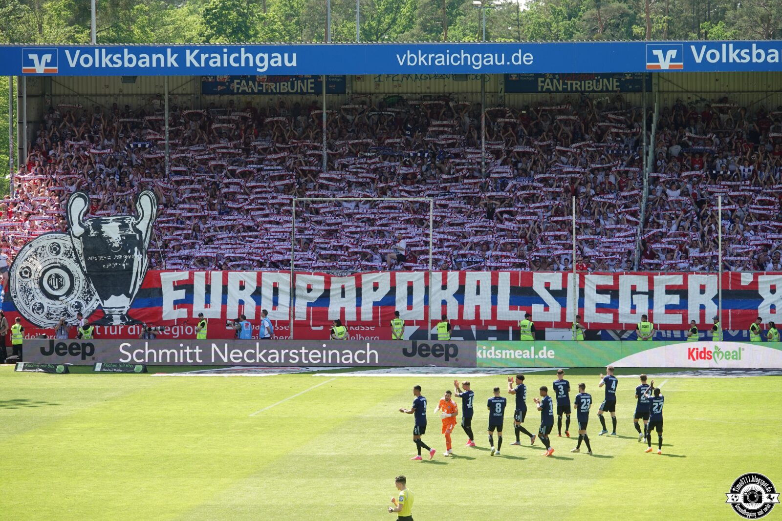 SV Sandhausen – Hamburger SV 0-1 (48)