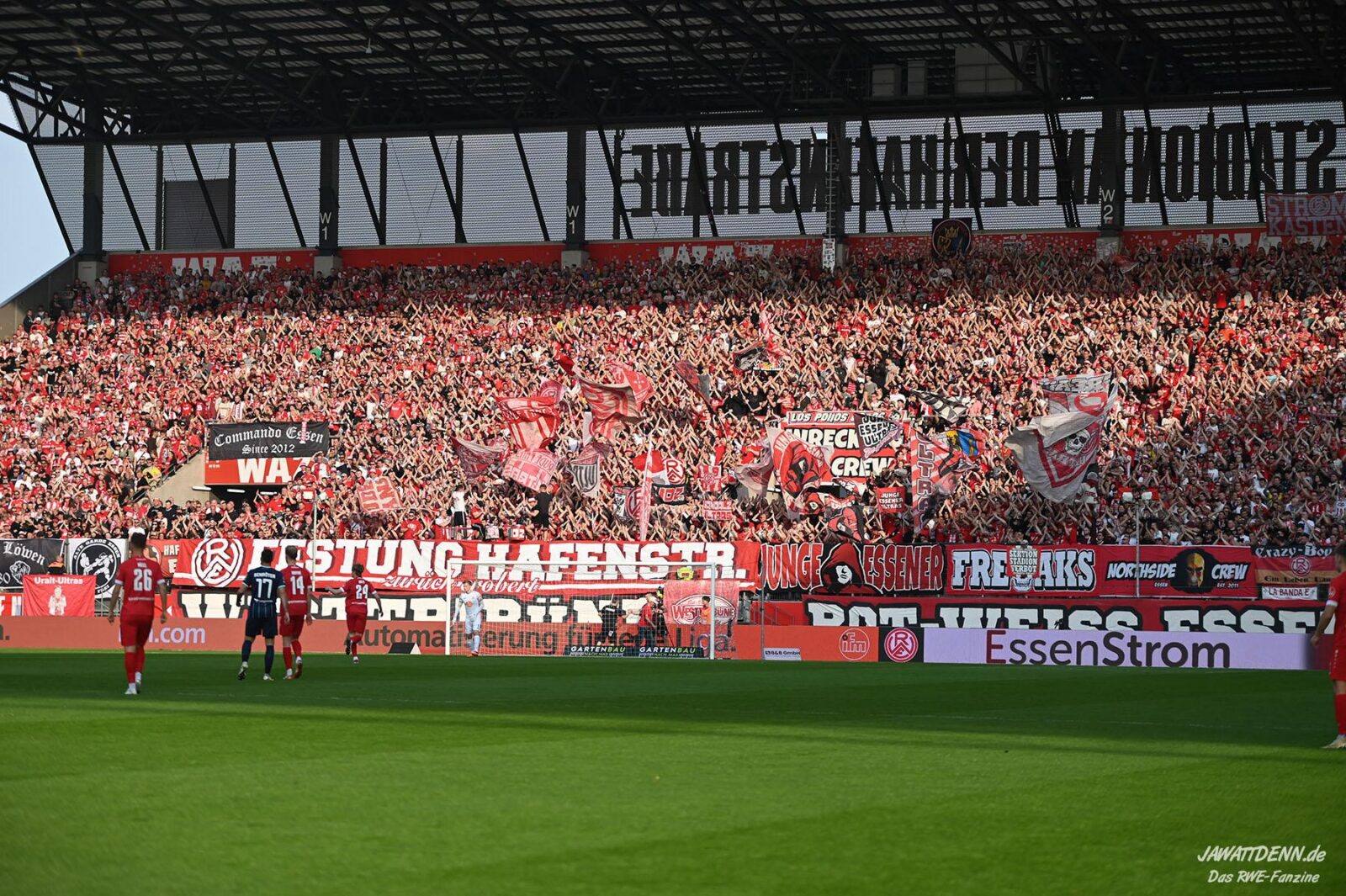Rot-Weiss Essen – TSV 1860 München 0-1 (8)