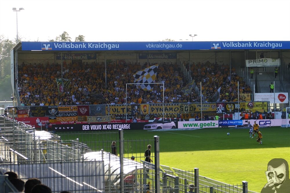 SV Sandhausen – Dynamo Dresden 1-0 (5)