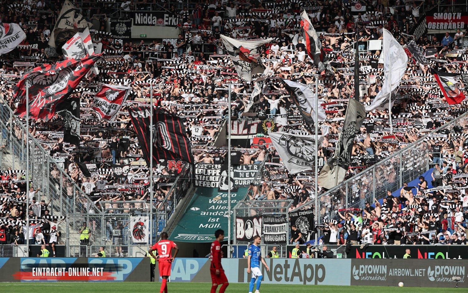 TSG Hoffenheim – Eintracht Frankfurt 3-1 (19)