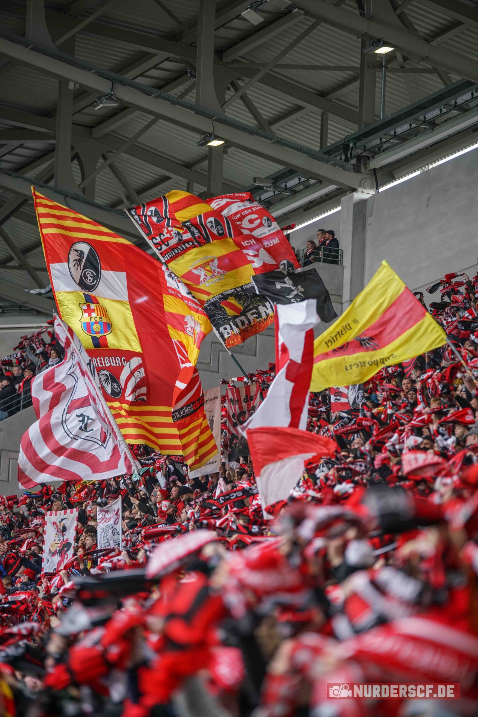 SC Freiburg – TSG Hoffenheim 2-1 (8)