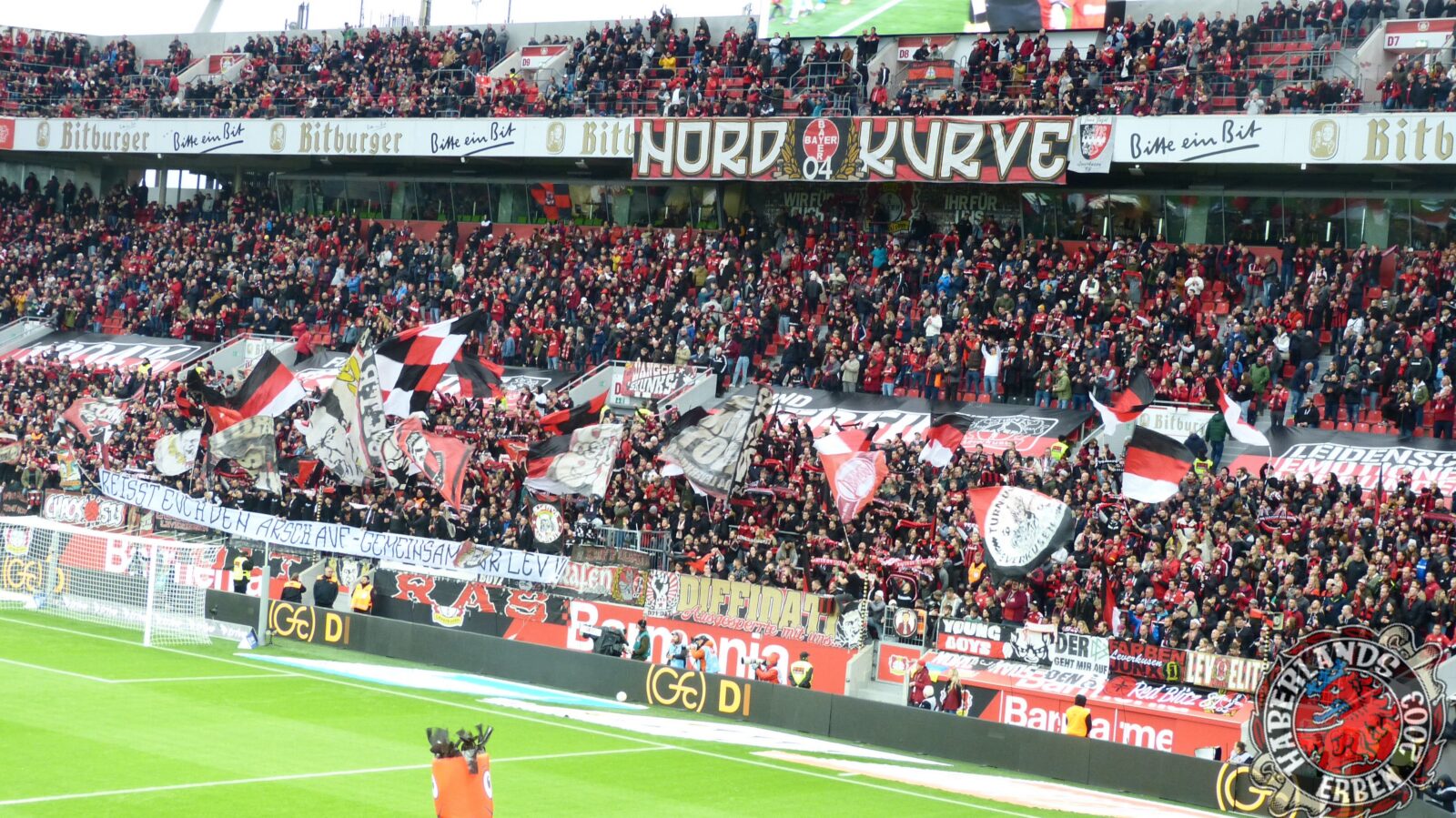 Bayer 04 Leverkusen – 1. FC Union Berlin 5-0 (8)