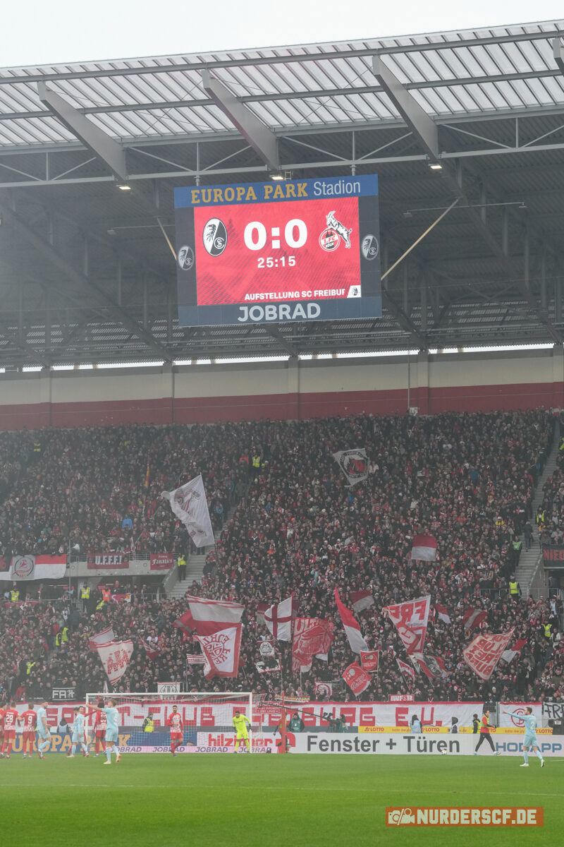 SC Freiburg – 1. FC Köln 2-0 (12)