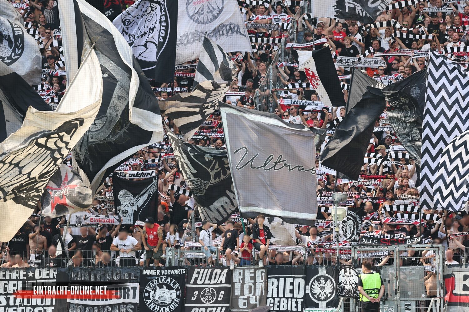 Eintracht Frankfurt – TSG Hoffenheim 3-1 (20)