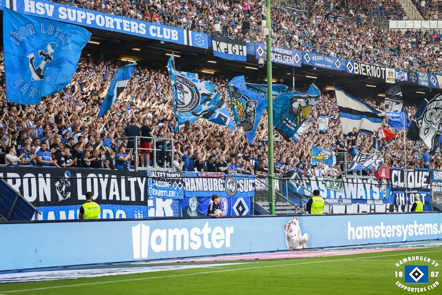 Hamburger SV – SV Darmstadt 98 1-2 (11)