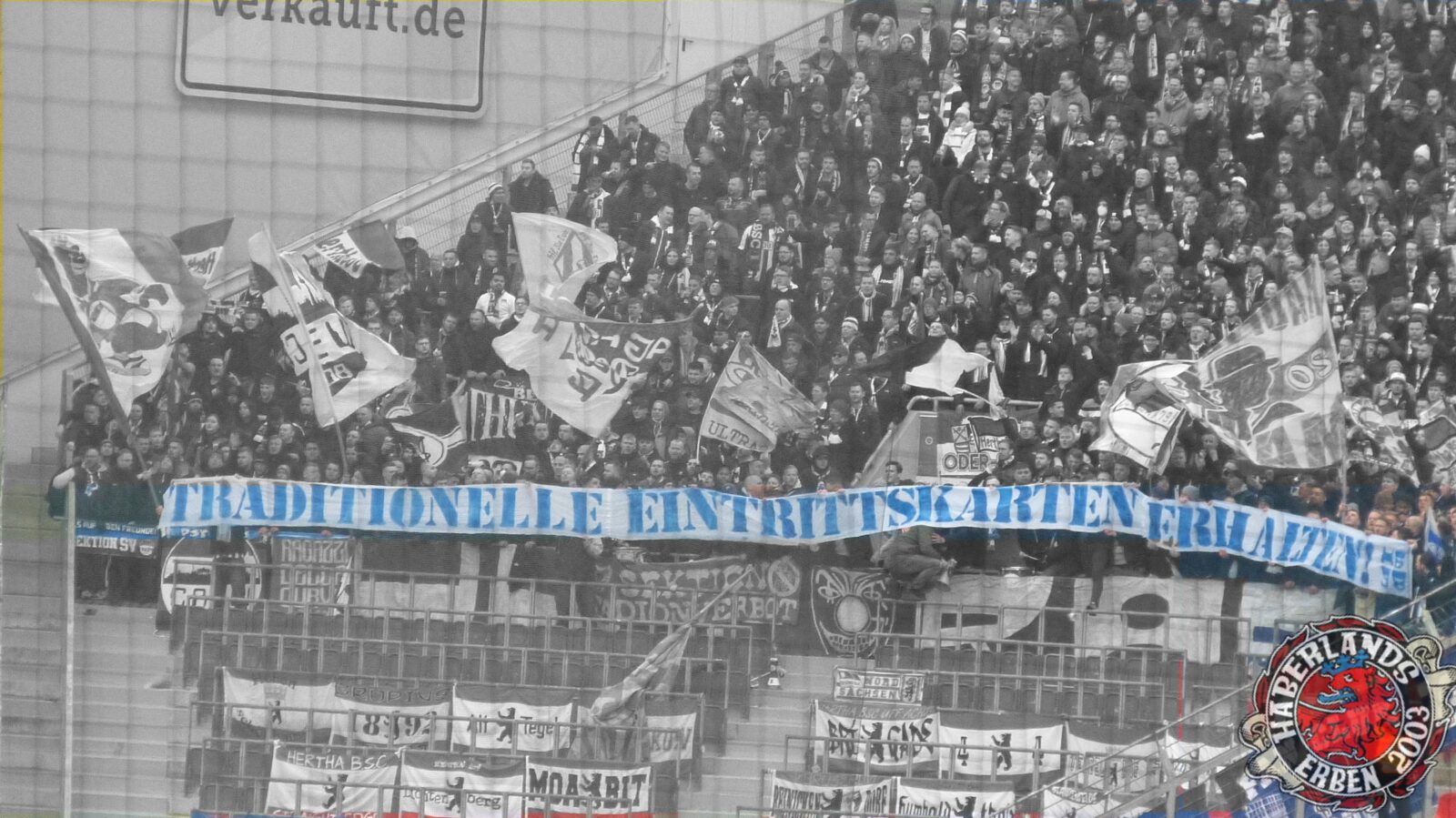 Bayer 04 Leverkusen – Hertha BSC 2-1 (6)