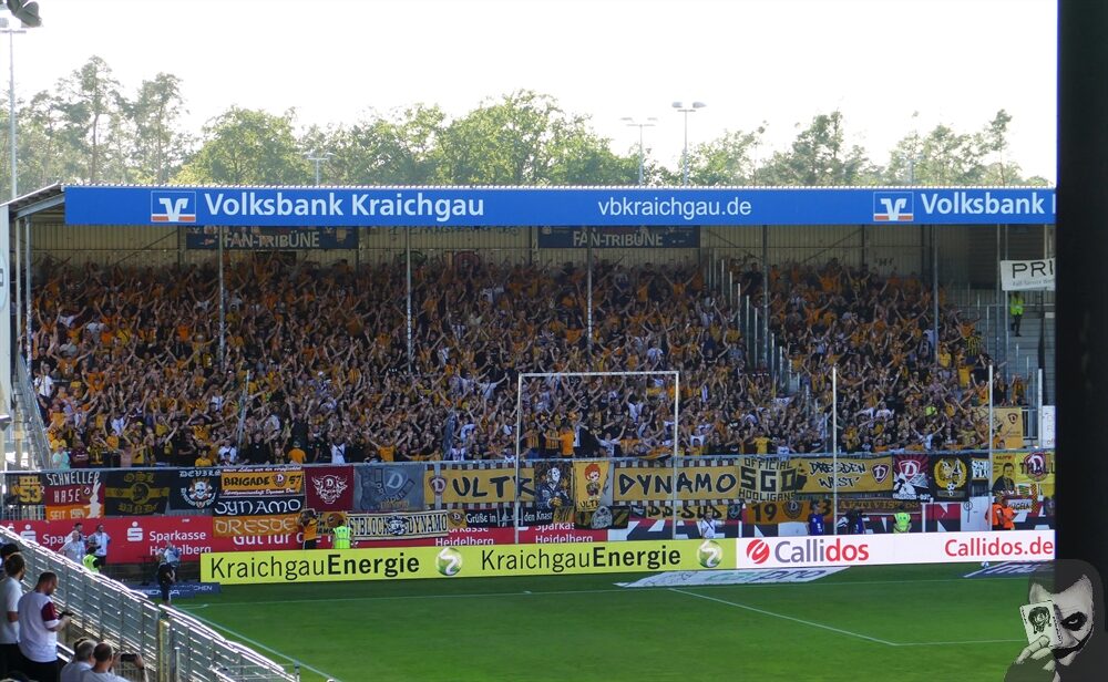 SV Sandhausen – Dynamo Dresden 1-0 (4)