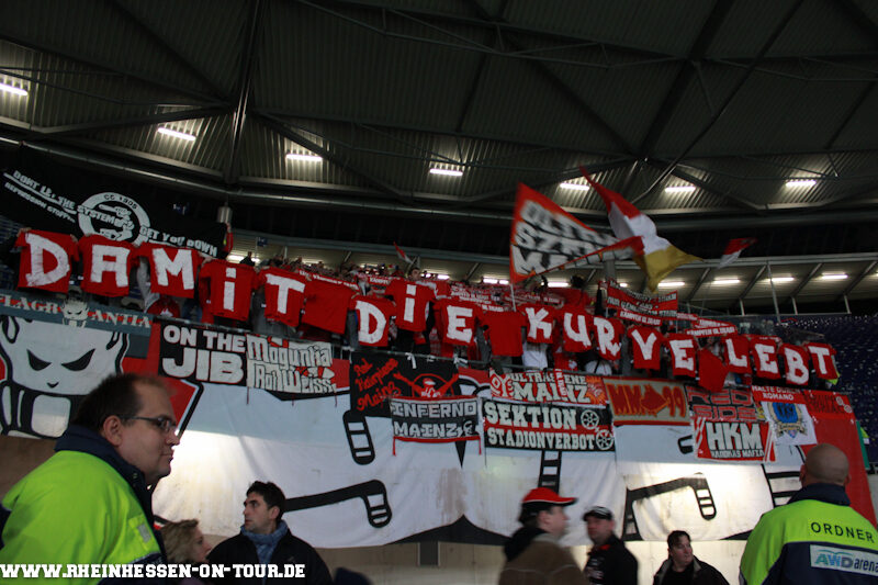 Hannover 96 vs 1. FSV Mainz 05 (0-1n.V.) (3)