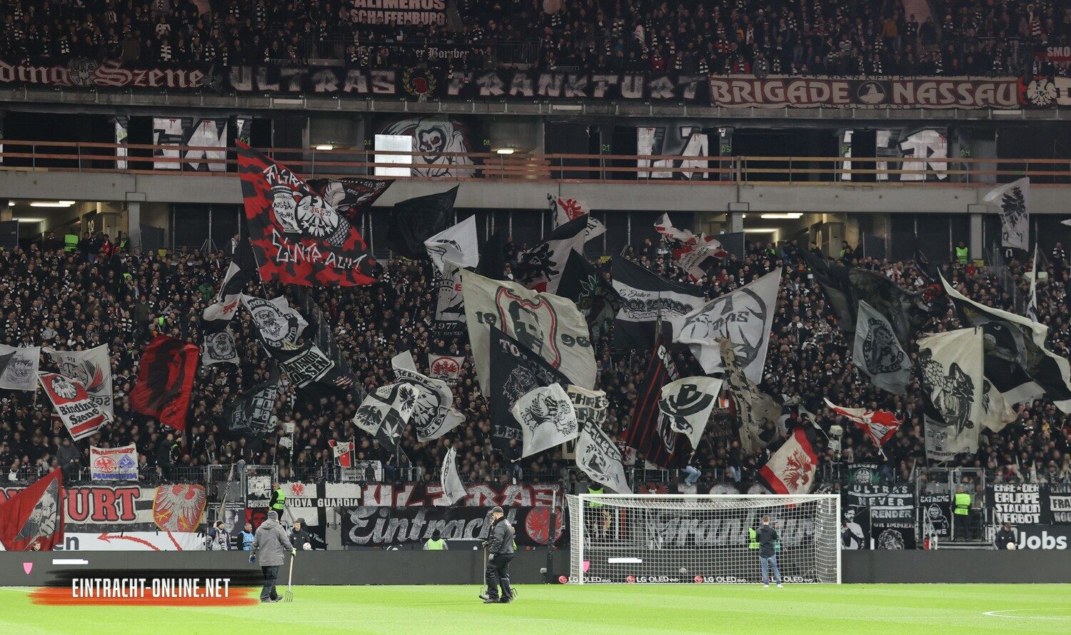 Eintracht Frankfurt – VfL Bochum 1-1 (6)