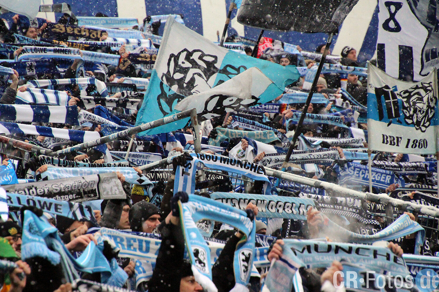 TSV 1860 München – FSV Zwickau (9)
