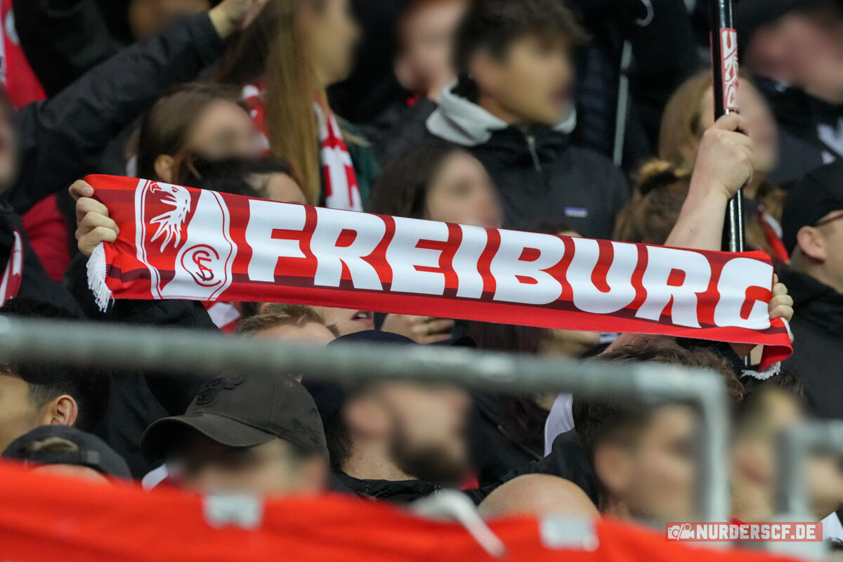 Bayer 04 Leverksuen – SC Freiburg 2-1 (6)