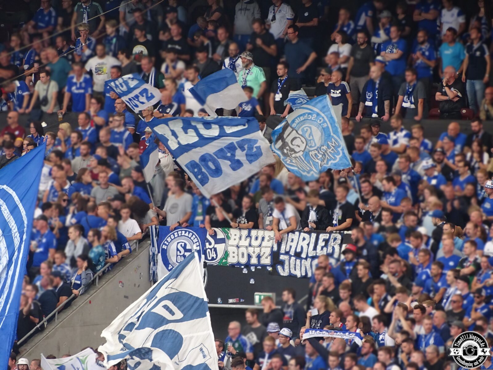 VfB Stuttgart – FC Schalke 04 1-1 (8)