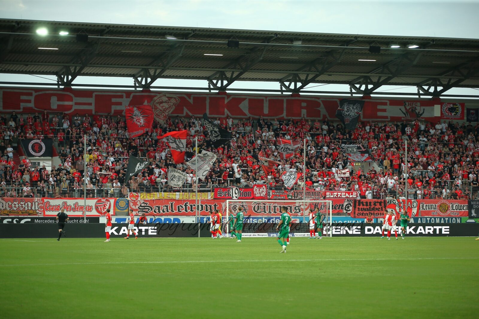 Hallescher FC – MSV Duisburg 1-1 (1)