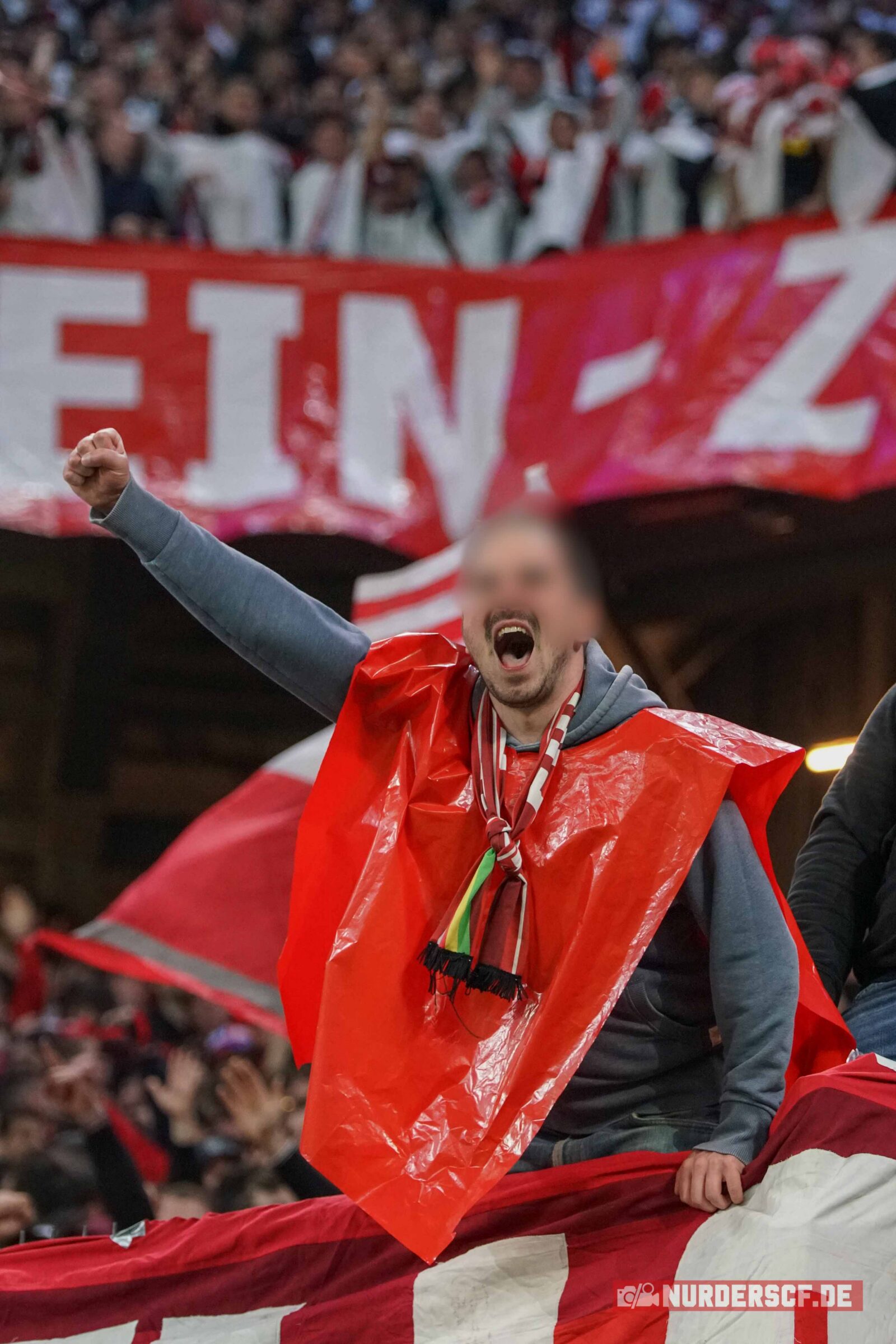 Hamburger SV – SC Freiburg 1-3 (16)