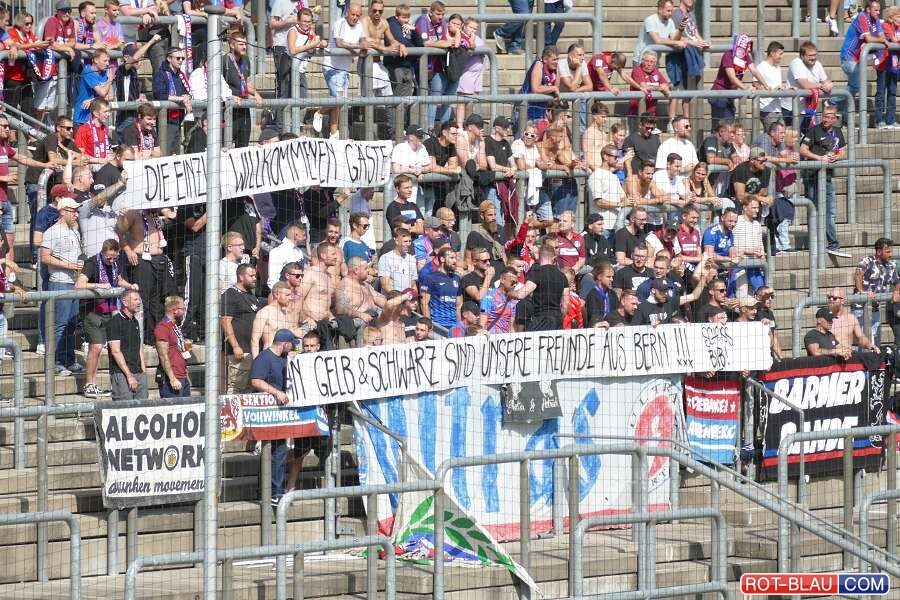 Wuppertaler SV – SV Straelen 2-1 (6)