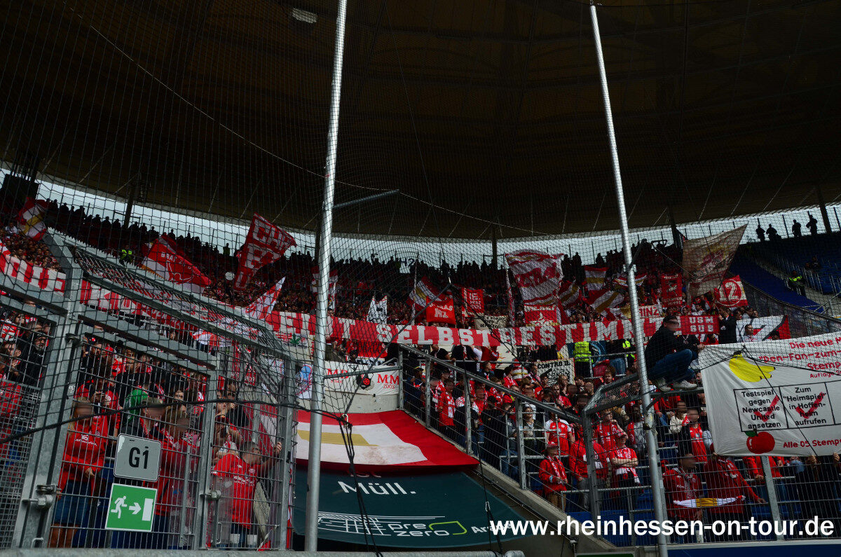 TSG Hoffenheim – 1. FSV Mainz 05 4-1 (3)