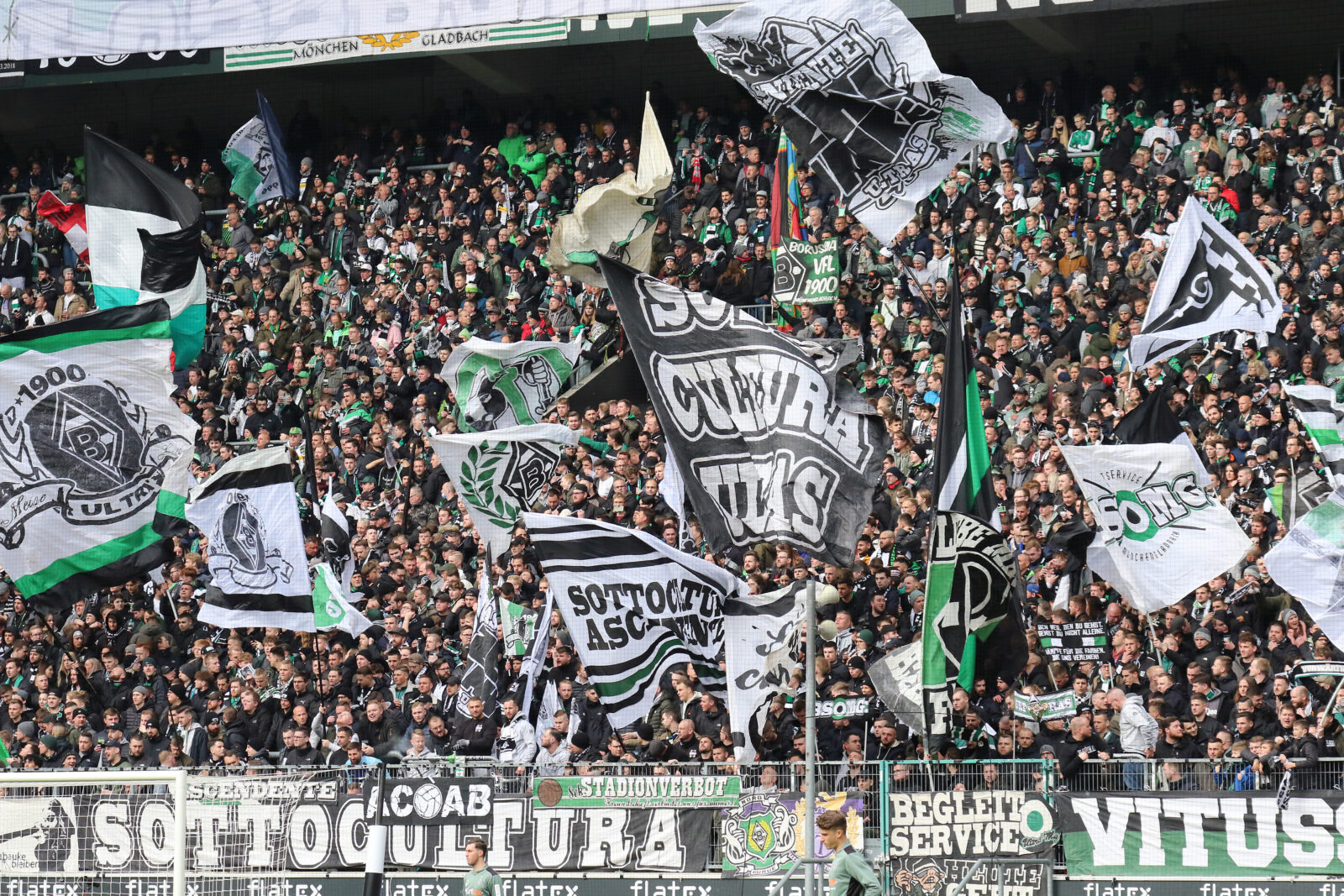 Borussia Mönchengladbach – 1. FSV Mainz 05 1-1 (11)