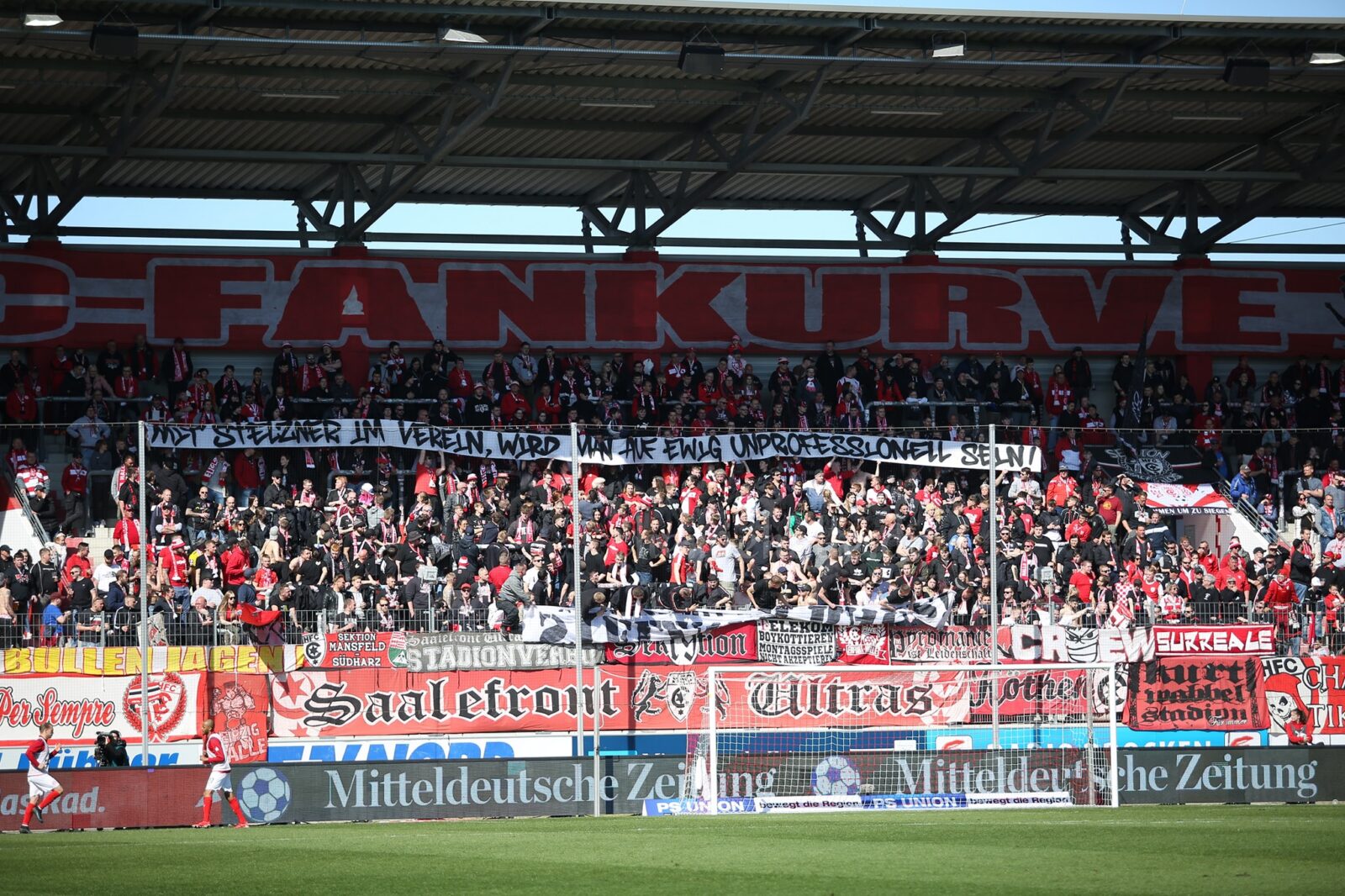 Hallescher FC – TSV Havelse 1-1 (6)