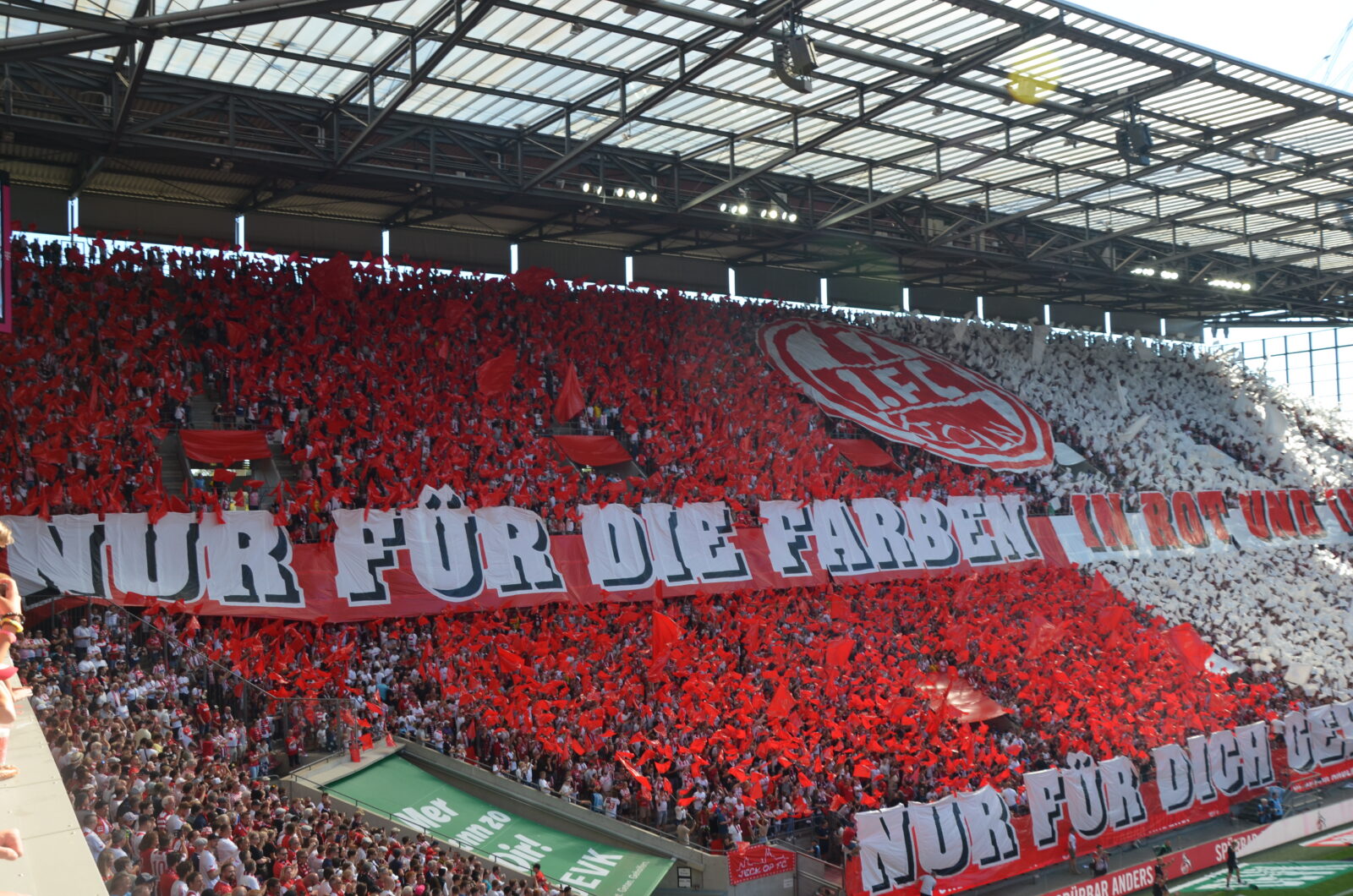 1. FC Köln – FC Schalke 04 3-1 (24)