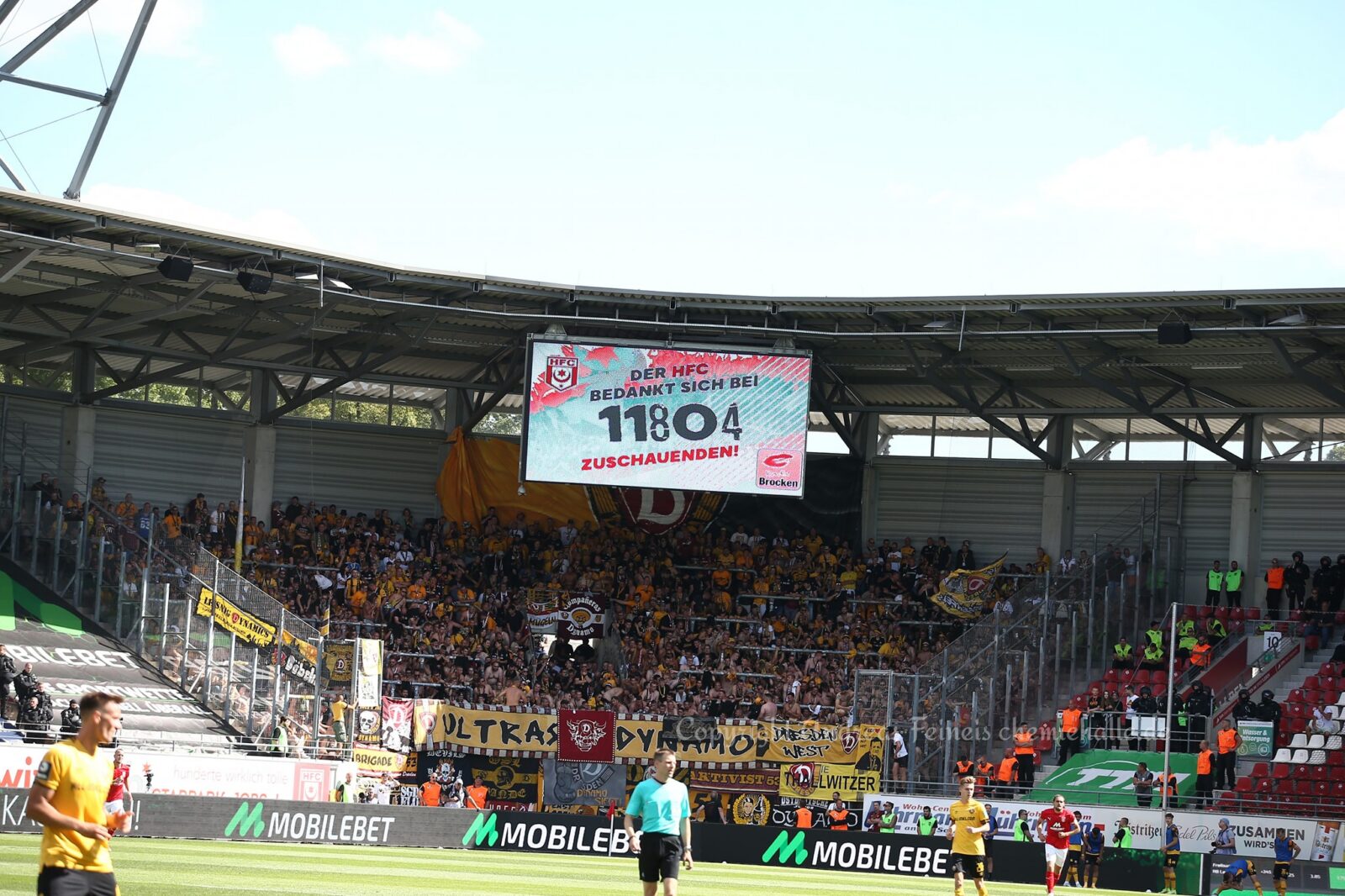 Hallescher FC – Dynamo Dresden 0-2 (9)