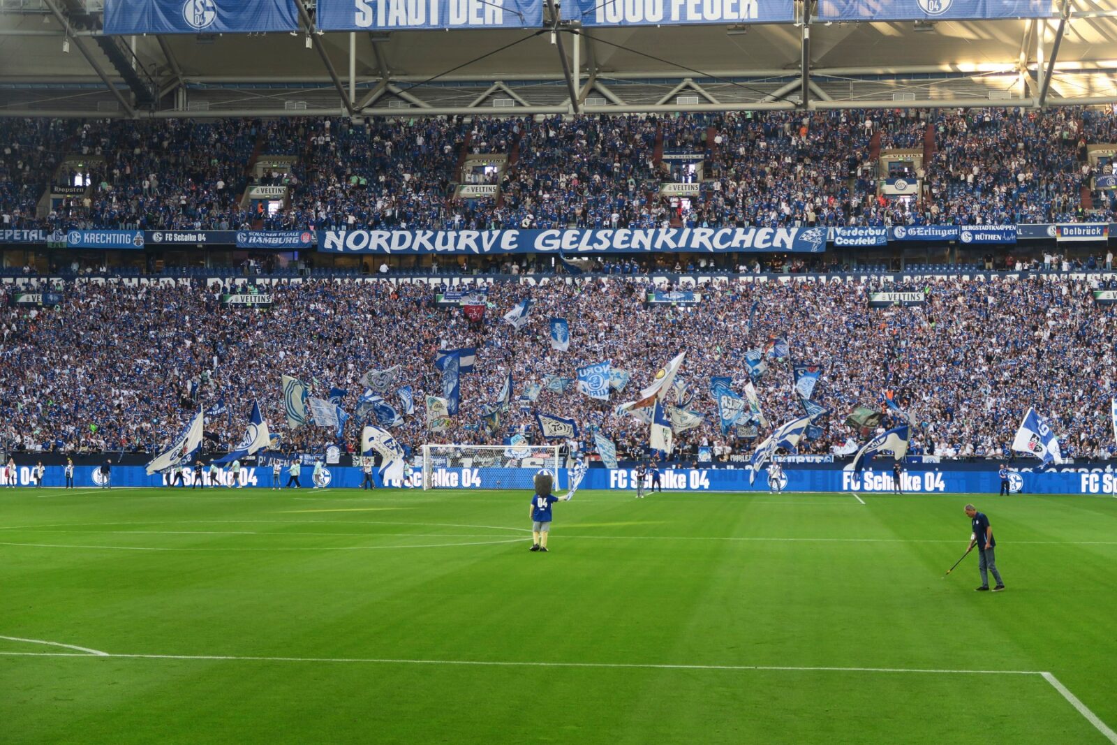 FC Schalke 04 – SV Darmstadt 98 3-5 (1)