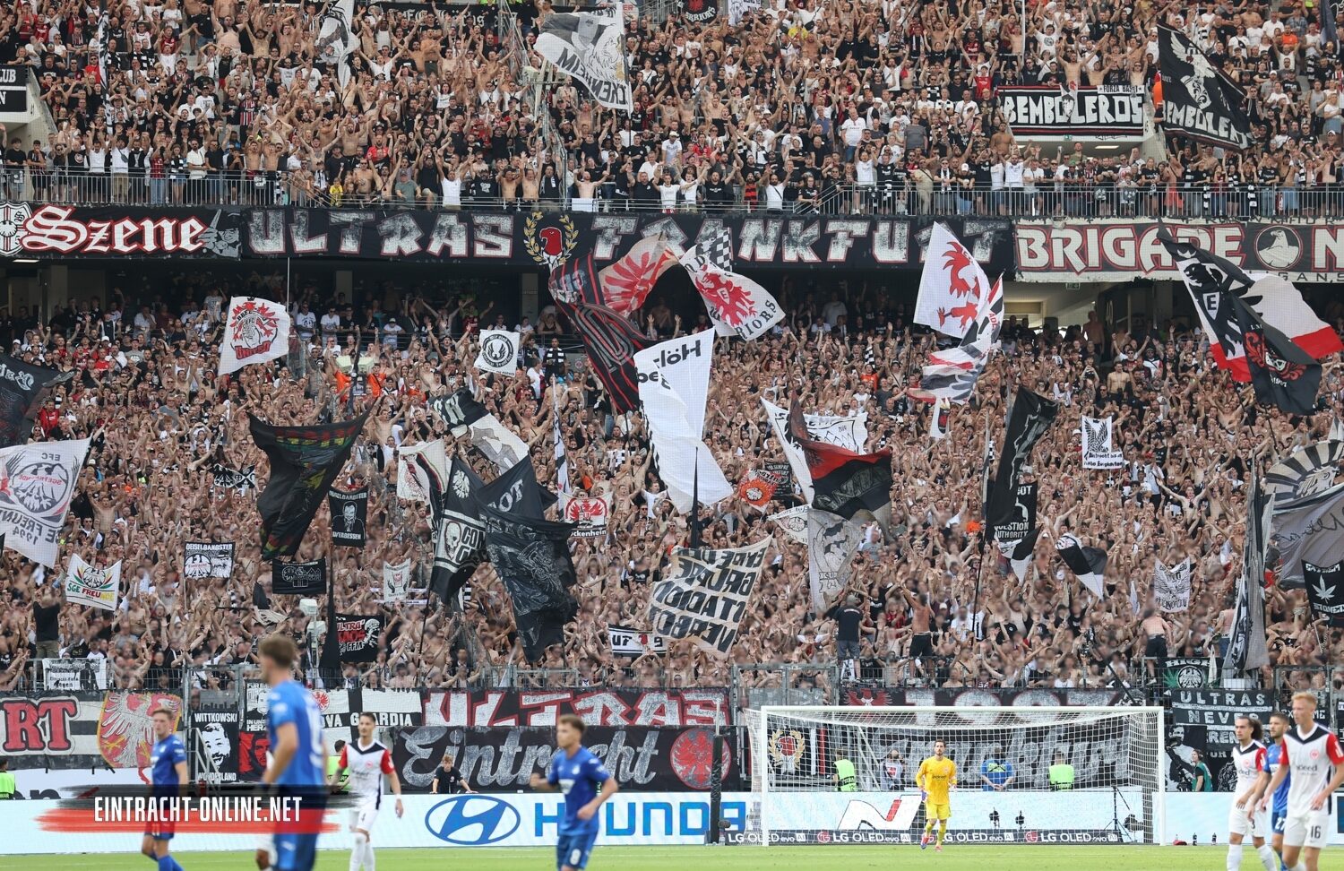 Eintracht Frankfurt – TSG Hoffenheim 3-1 (25)