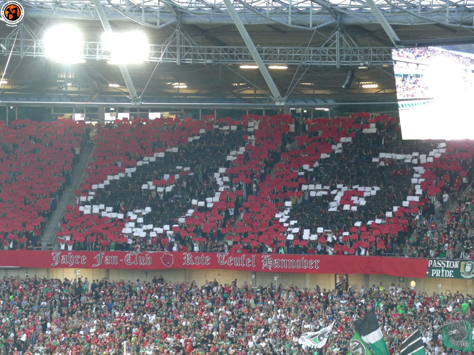Hannover 96 – Hamburger SV 0-1 (7)