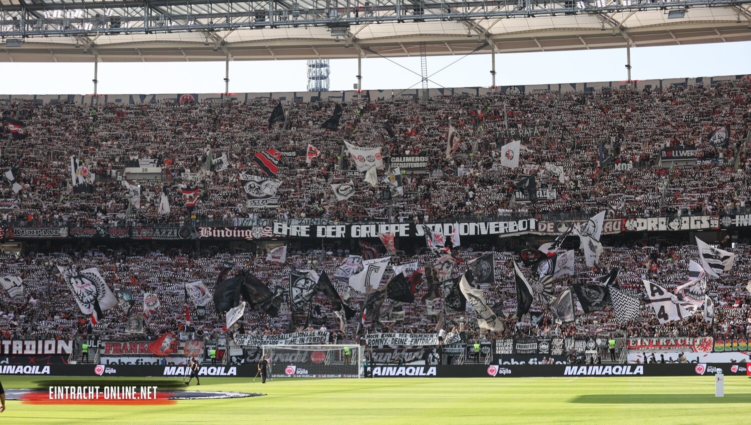 Eintracht Frankfurt – TSG Hoffenheim 3-1 (46)