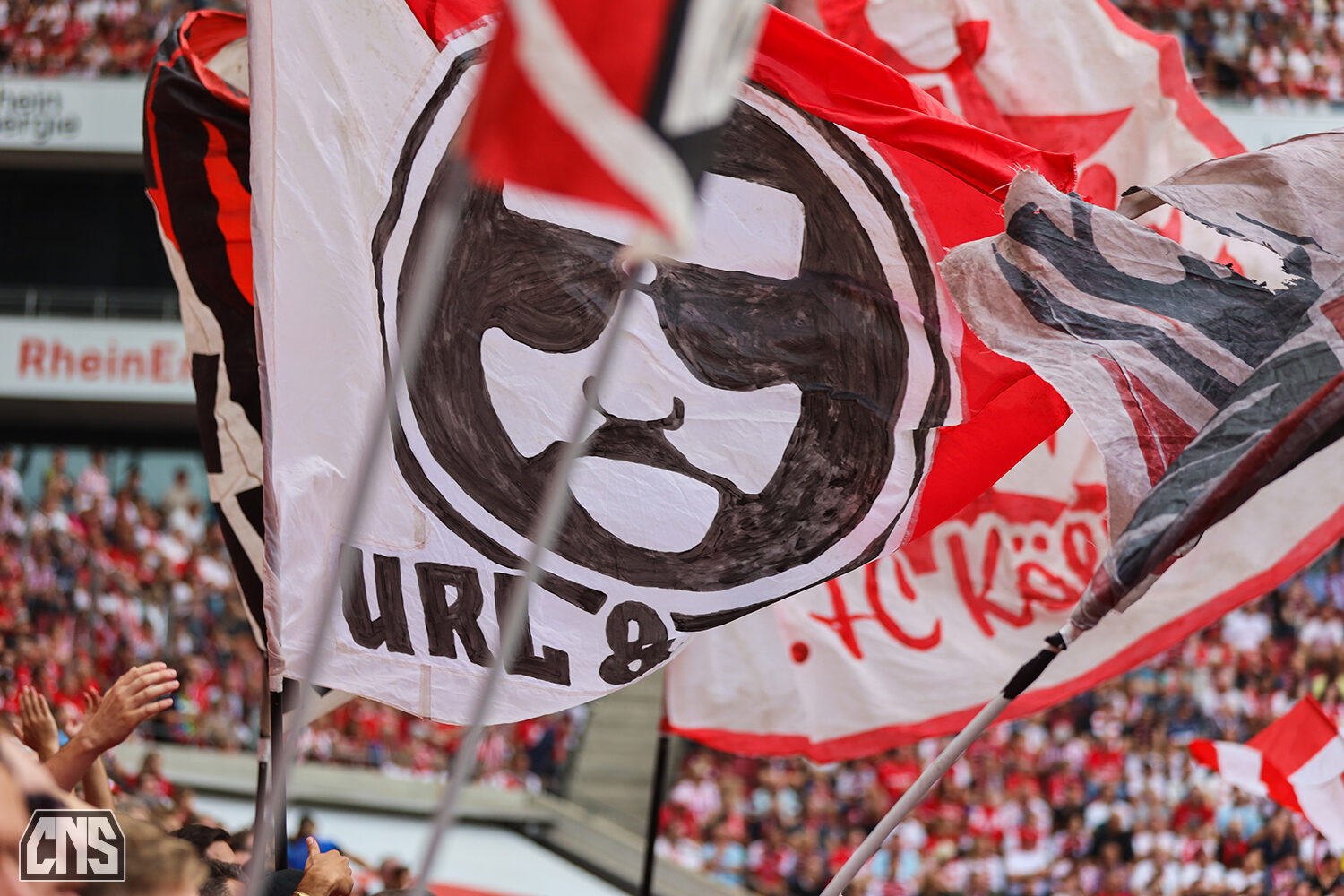 1. FC Köln – VfL Wolfsburg 1-2 (67)