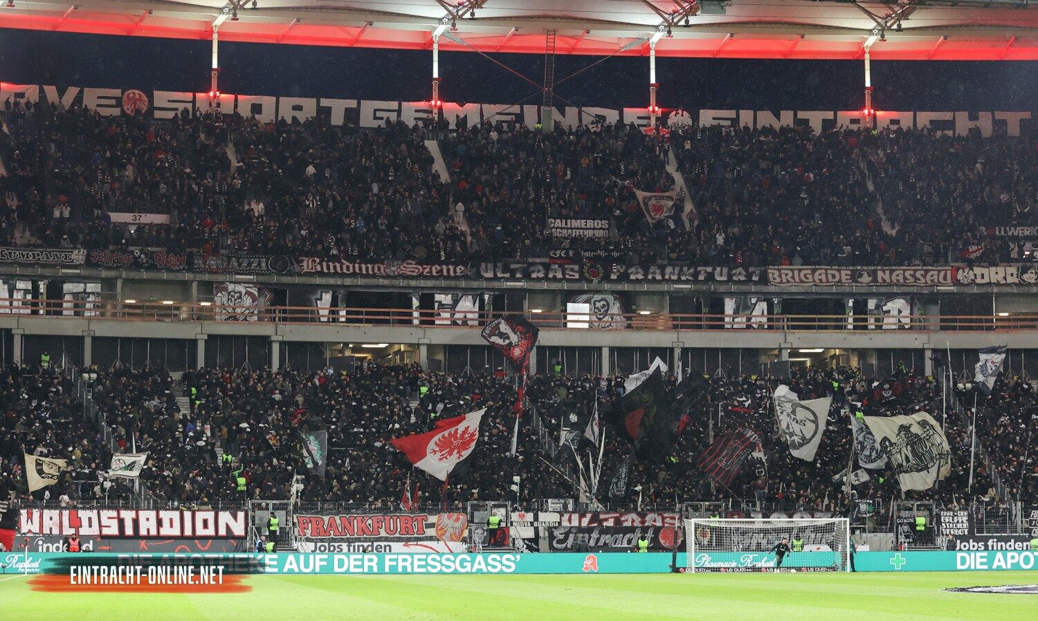 Eintracht Frankfurt – VfL Bochum 1-1
