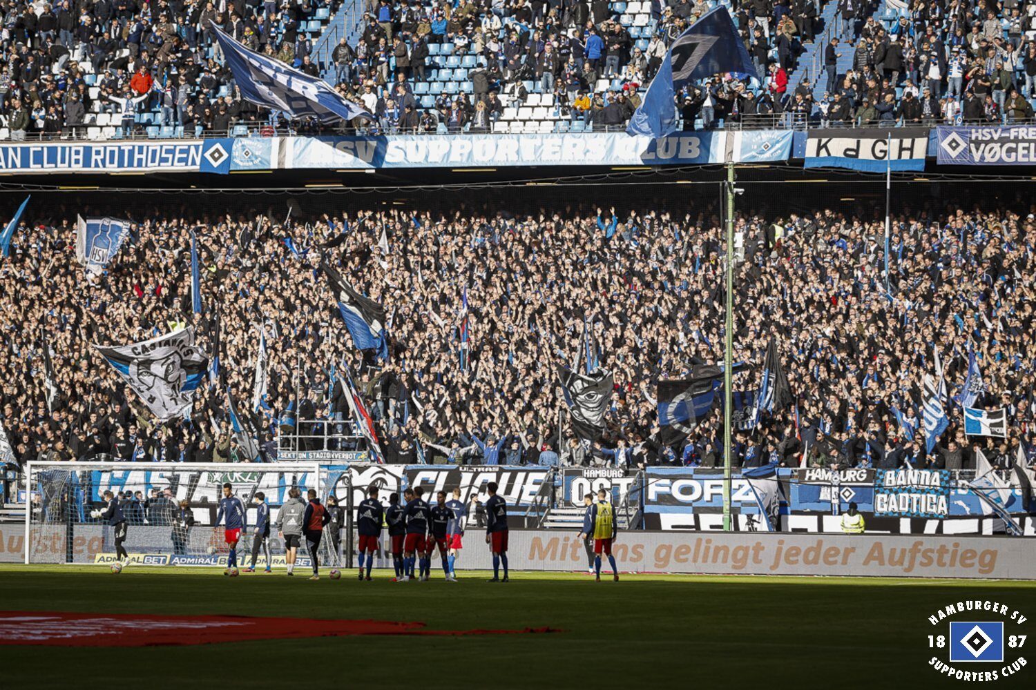 Hamburger SV – DSC Arminia Bielefeld 2-1 (3)