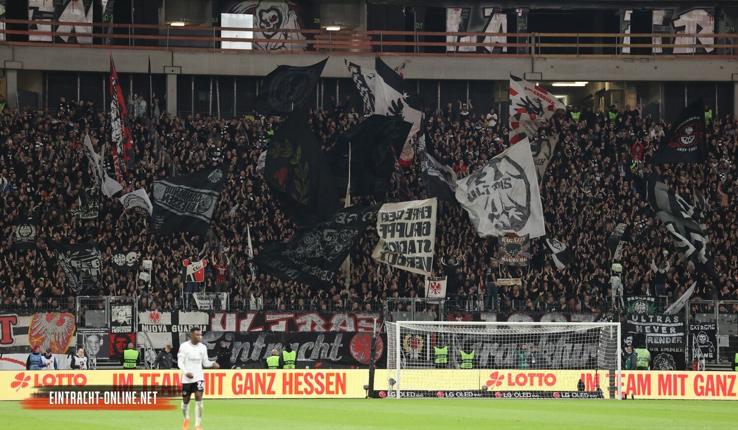 Eintracht Frankfurt – VfL Bochum 1-1 (11)