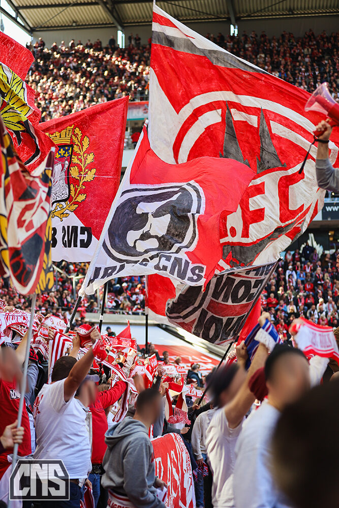 1. FC Köln – SSV Ulm 1846 2-0 (12)
