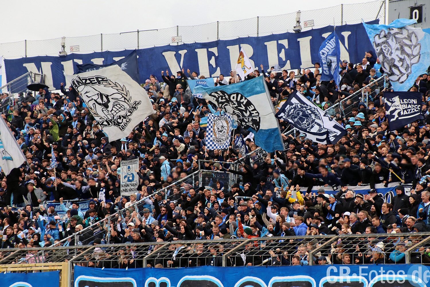 TSV 1860 München – SV Wehen 2-3 (18)