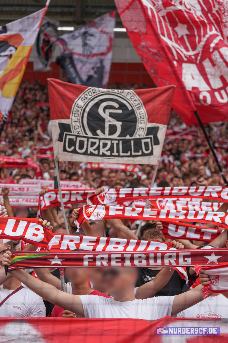 SC Freiburg – Borussia Dortmund 2-4 (14)
