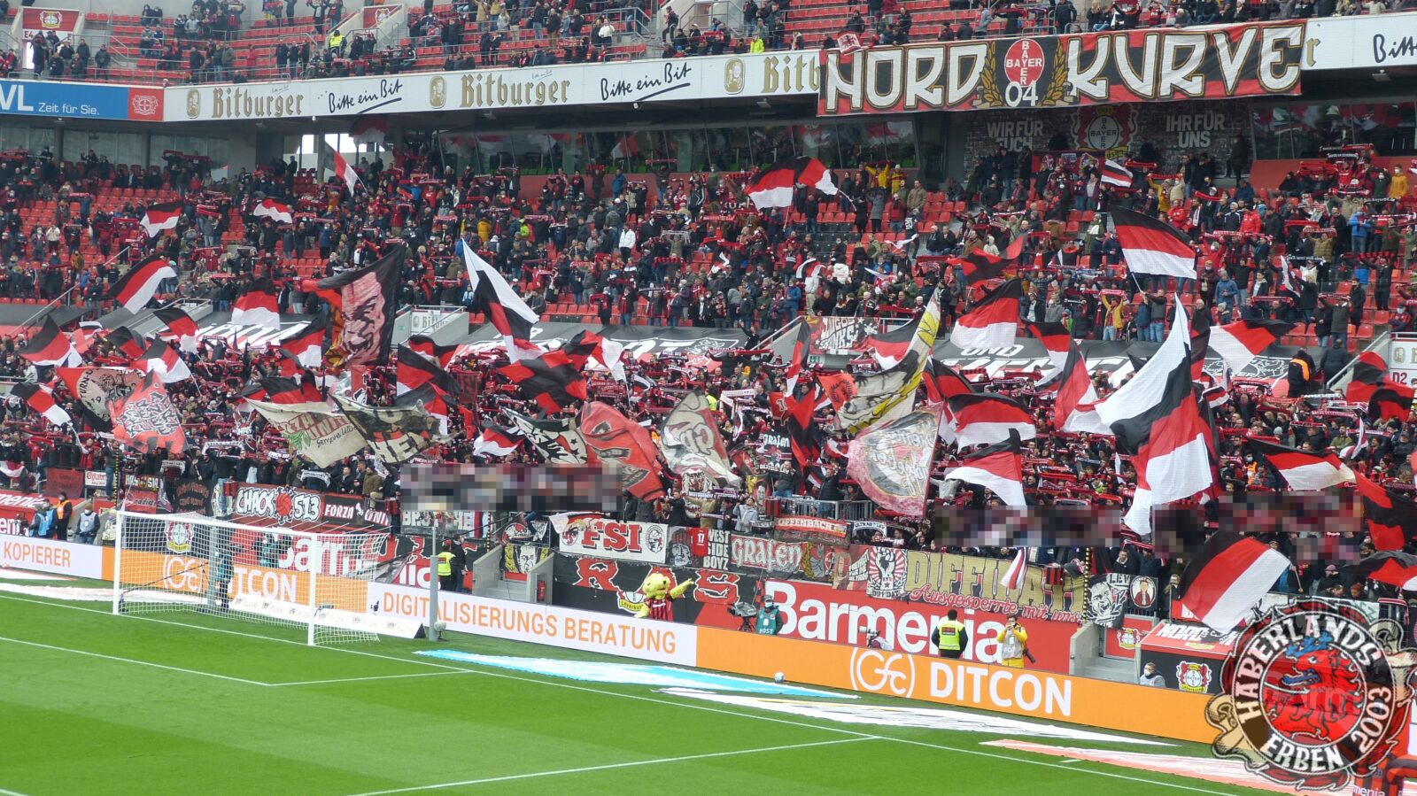 Bayer 04 Leverkusen – Hertha BSC 2-1 (11)